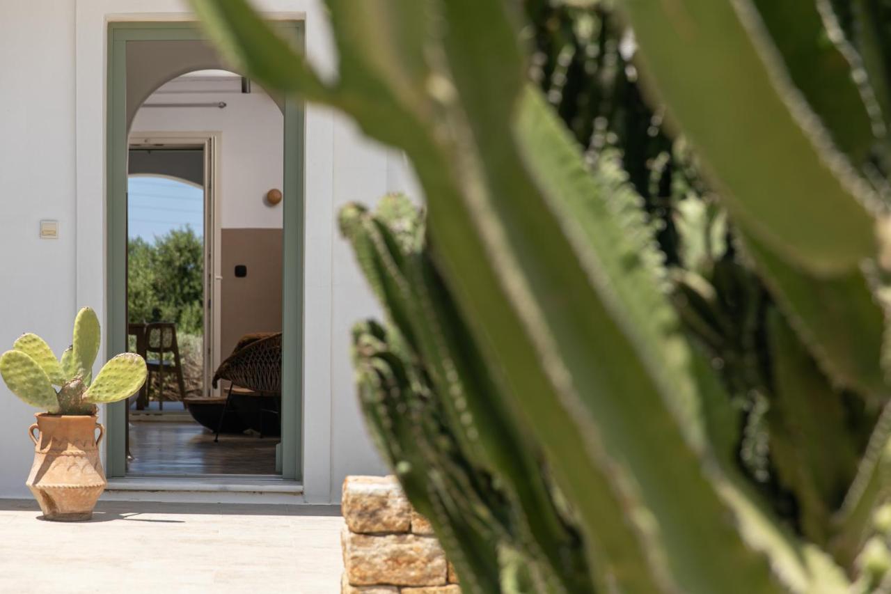 Naxos Euphoria Suites Stelida  Exterior foto